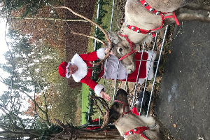 Reindeer Hire | Unicorn hire  in London  and Essex gallery image 12