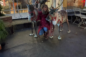 Gallery | Reindeer Hire company in London  and Essex gallery image 22
