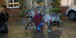 Gallery | Reindeer Hire company in London  and Essex gallery image 21