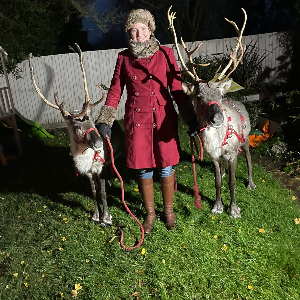 Gallery | Reindeer Hire company in London  and Essex gallery image 19
