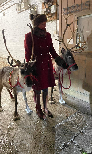 Gallery | Reindeer Hire company in London  and Essex gallery image 13