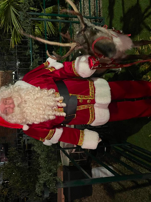 Gallery | Reindeer Hire company in London  and Essex gallery image 25