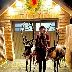 Gallery | Reindeer Hire company in London  and Essex gallery image 34