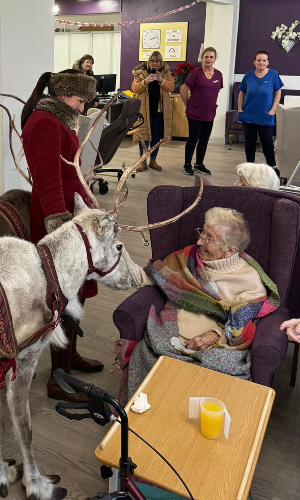 Gallery | Reindeer Hire company in London  and Essex gallery image 33