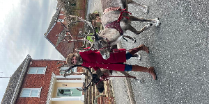 Gallery | Reindeer Hire company in London  and Essex gallery image 31
