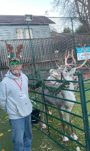 Gallery | Reindeer Hire company in London  and Essex gallery image 28
