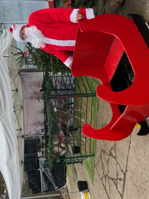 Gallery | Reindeer Hire company in London  and Essex gallery image 55