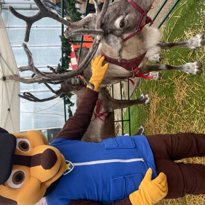 Gallery | Reindeer Hire company in London  and Essex gallery image 54