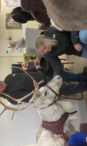 Gallery | Reindeer Hire company in London  and Essex gallery image 48