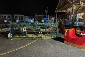 Gallery | Reindeer Hire company in London  and Essex gallery image 47