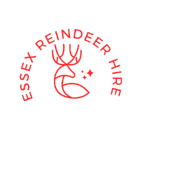 Essex Reindeer Hire Reindeer Hire company London Essex