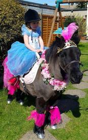 childrens pony party entertainment pantomime pony essex reindeer hire pony